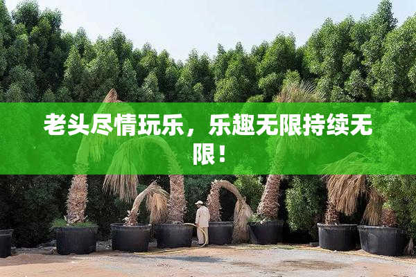 老头尽情玩乐，乐趣无限持续无限！