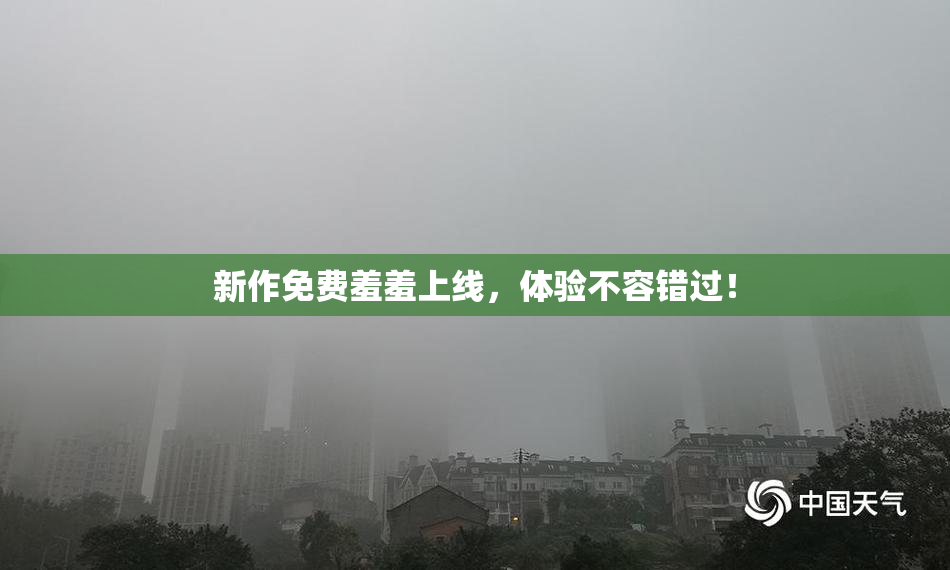新作免费羞羞上线，体验不容错过！