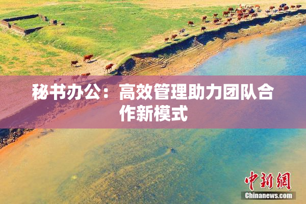 秘书办公：高效管理助力团队合作新模式