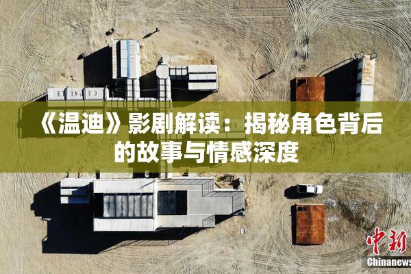《温迪》影剧解读：揭秘角色背后的故事与情感深度