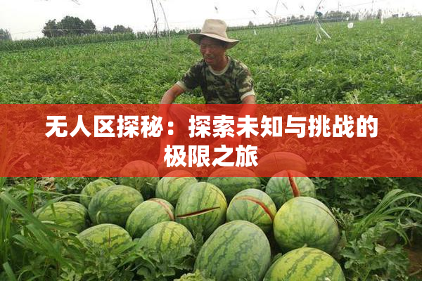 无人区探秘：探索未知与挑战的极限之旅