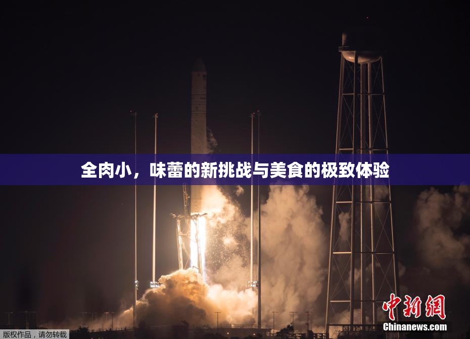 全肉小，味蕾的新挑战与美食的极致体验