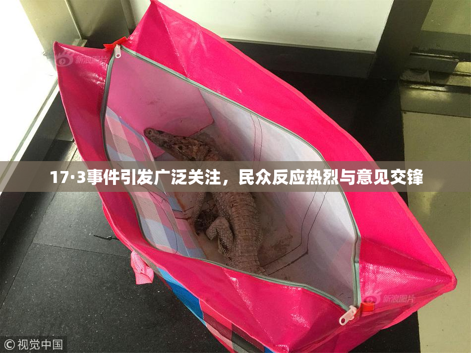 17·3事件引发广泛关注，民众反应热烈与意见交锋