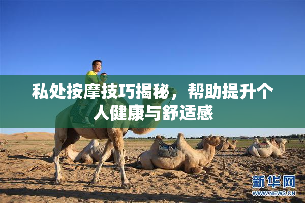 私处按摩技巧揭秘，帮助提升个人健康与舒适感