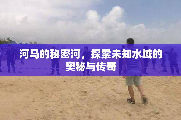 河马的秘密河，探索未知水域的奥秘与传奇