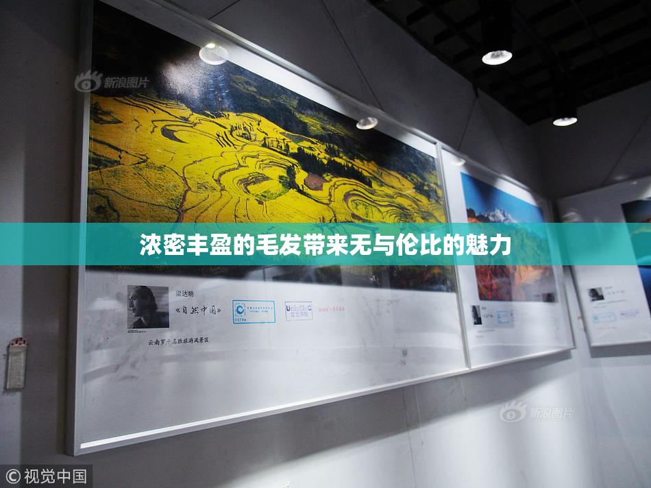 浓密丰盈的毛发带来无与伦比的魅力
