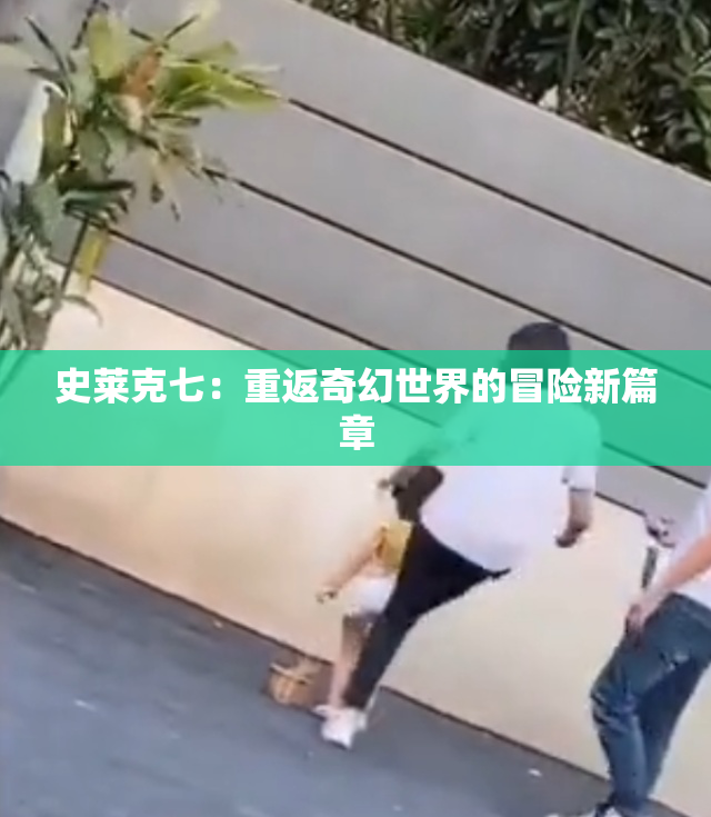 史莱克七：重返奇幻世界的冒险新篇章