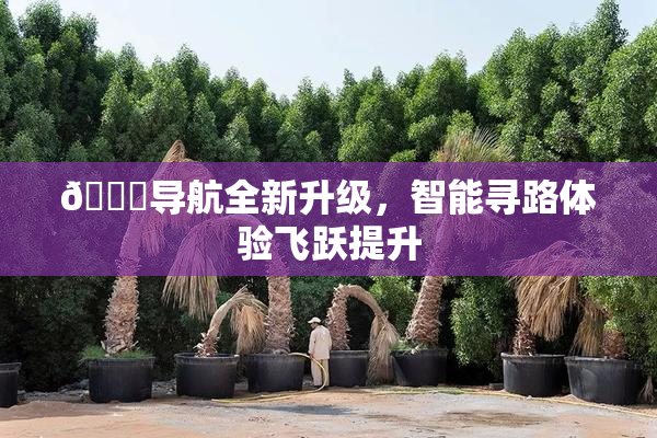 🍓导航全新升级，智能寻路体验飞跃提升