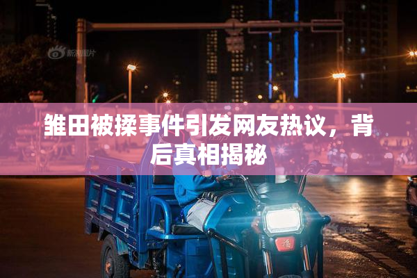 雏田被揉事件引发网友热议，背后真相揭秘