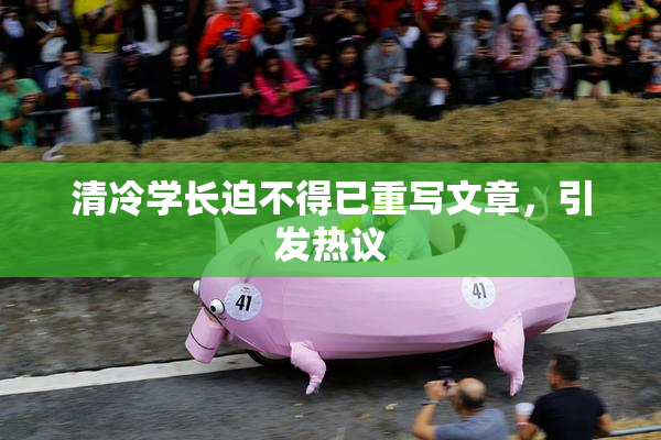 清冷学长迫不得已重写文章，引发热议