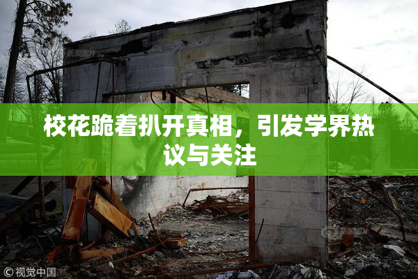 校花跪着扒开真相，引发学界热议与关注
