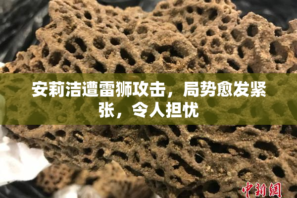 安莉洁遭雷狮攻击，局势愈发紧张，令人担忧