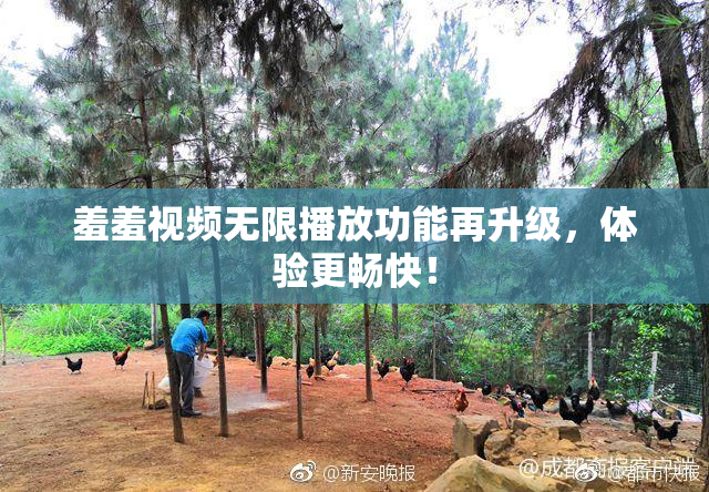 羞羞视频无限播放功能再升级，体验更畅快！