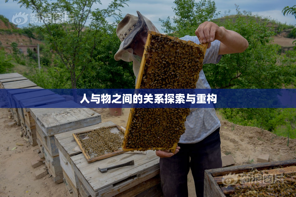 人与物之间的关系探索与重构