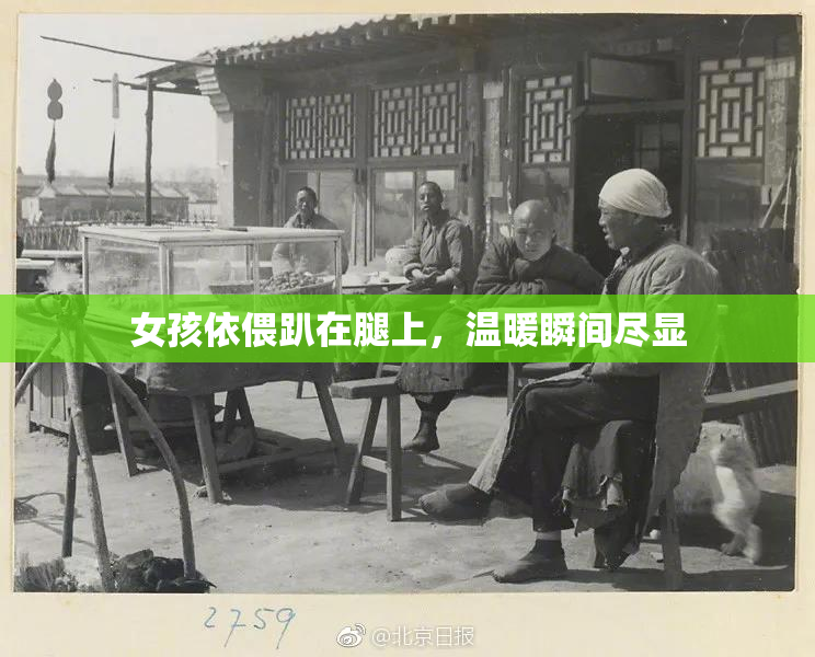 女孩依偎趴在腿上，温暖瞬间尽显