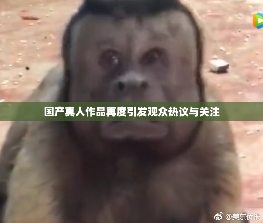 国产真人作品再度引发观众热议与关注