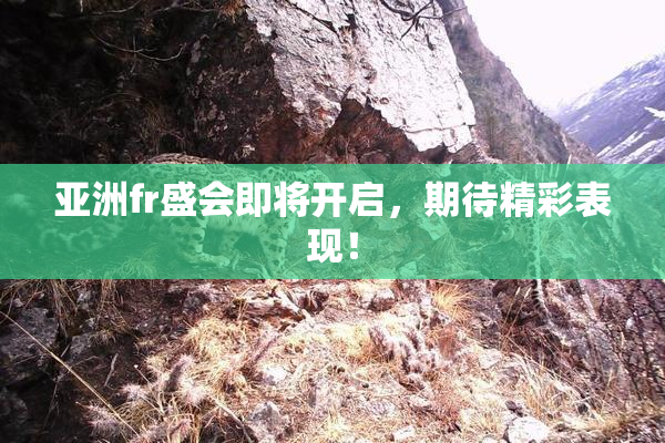 亚洲fr盛会即将开启，期待精彩表现！