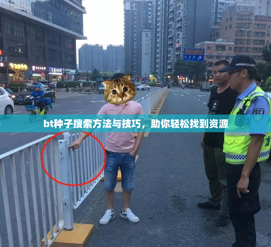 bt种子搜索方法与技巧，助你轻松找到资源