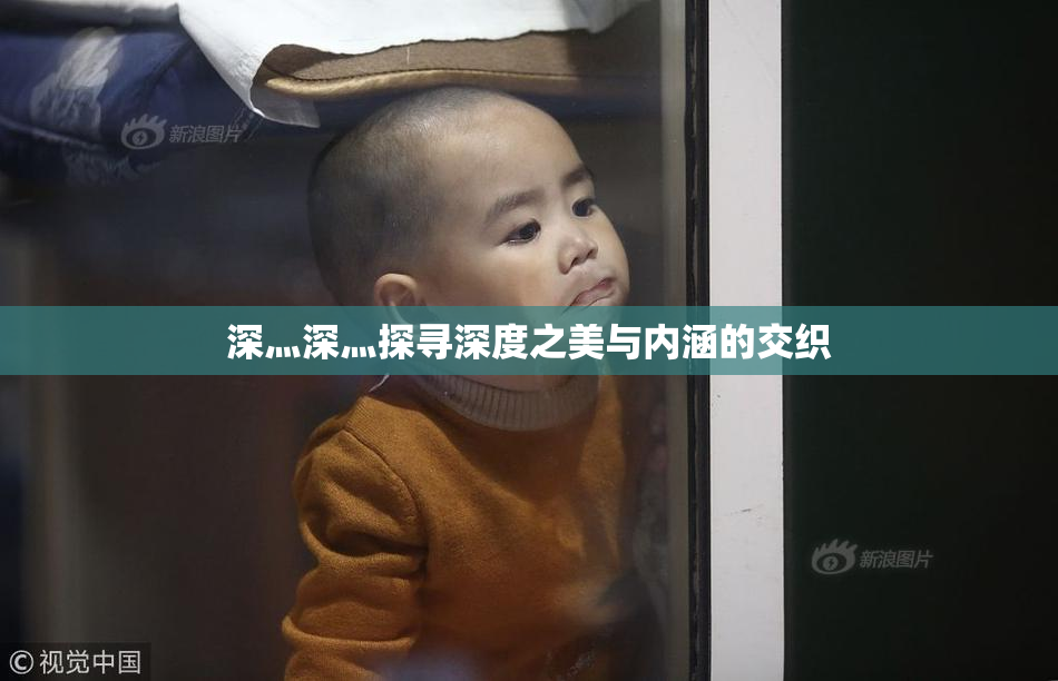 深灬深灬探寻深度之美与内涵的交织