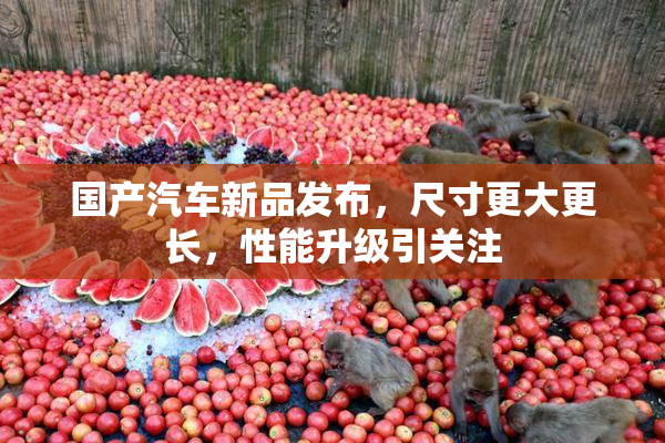国产汽车新品发布，尺寸更大更长，性能升级引关注