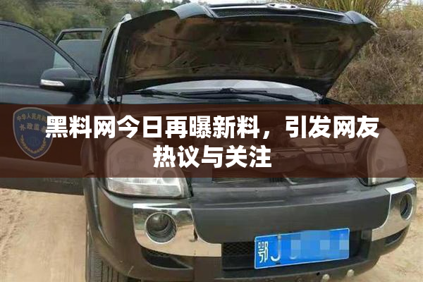 黑料网今日再曝新料，引发网友热议与关注