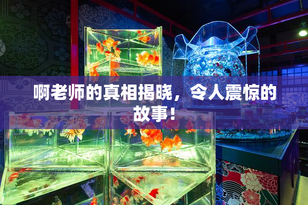 啊老师的真相揭晓，令人震惊的故事！