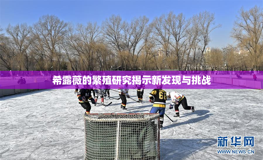 希露薇的繁殖研究揭示新发现与挑战