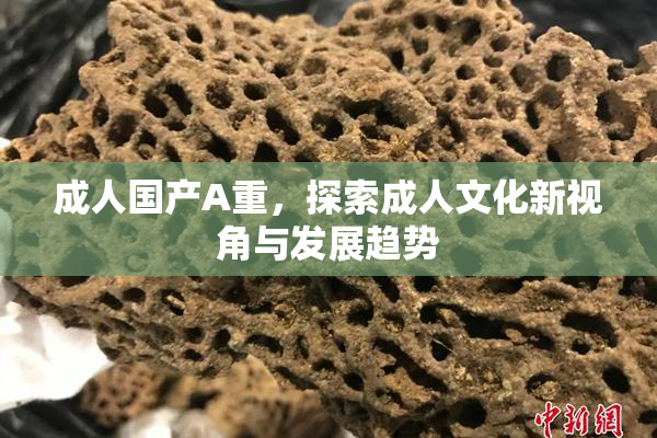 成人国产A重，探索成人文化新视角与发展趋势