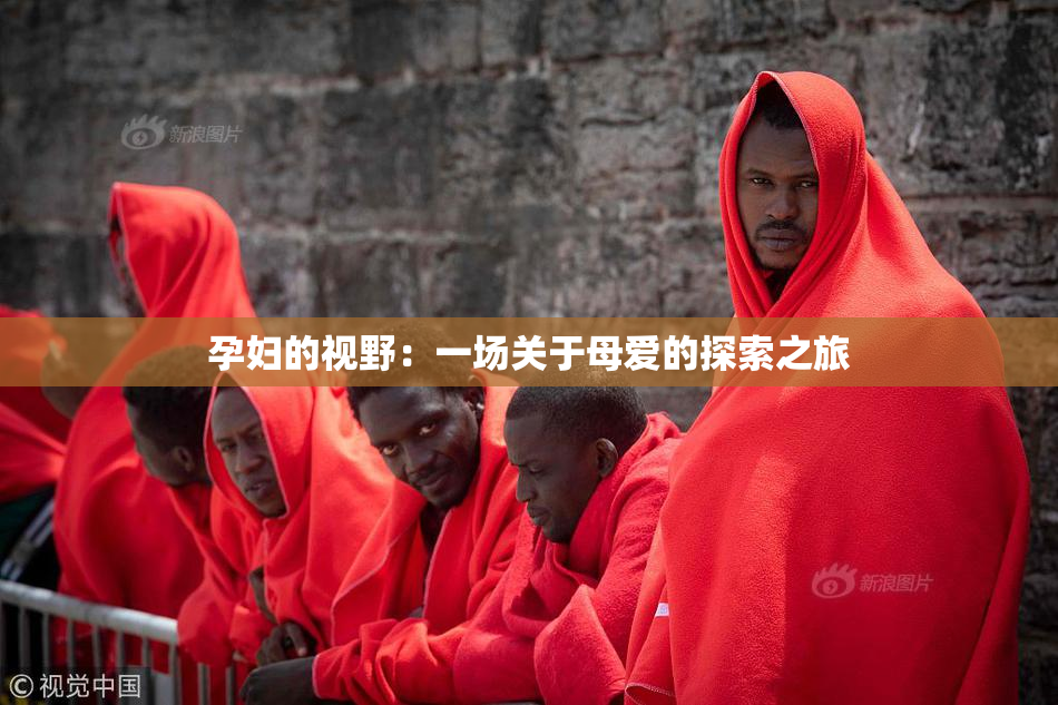 孕妇的视野：一场关于母爱的探索之旅