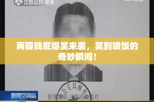 两瓣贱屁爆笑来袭，笑到喷饭的奇妙瞬间！