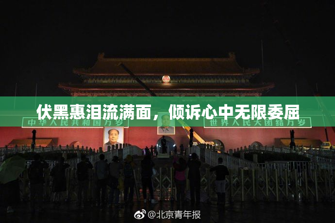 伏黑惠泪流满面，倾诉心中无限委屈