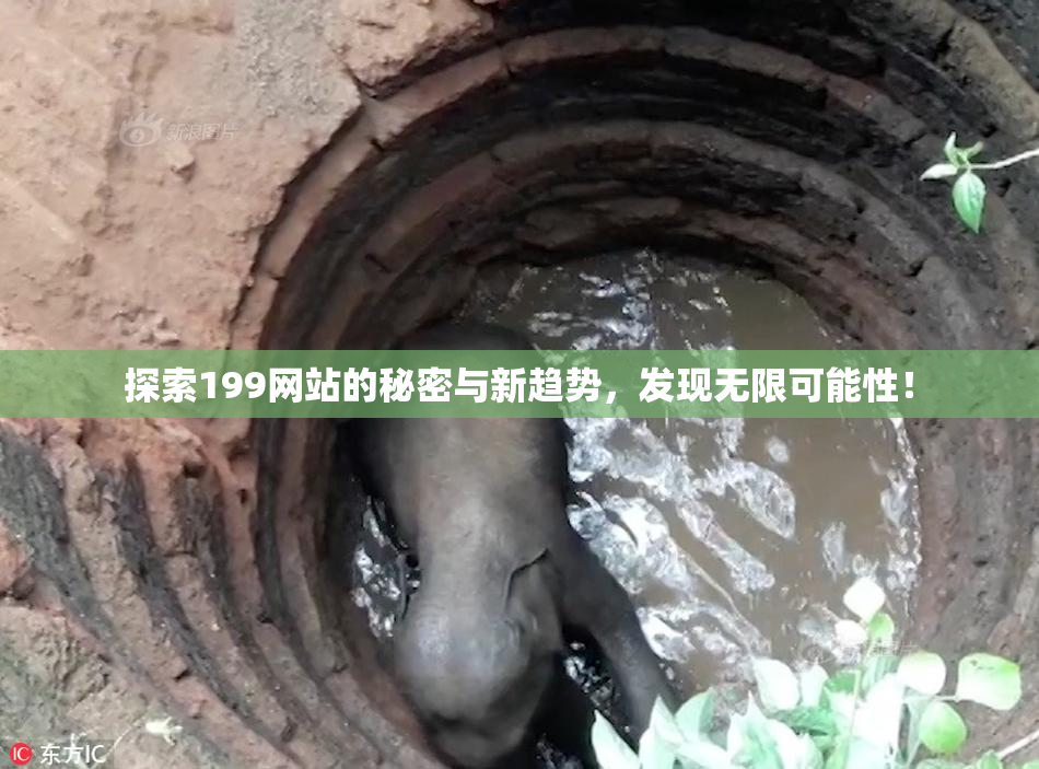 探索199网站的秘密与新趋势，发现无限可能性！