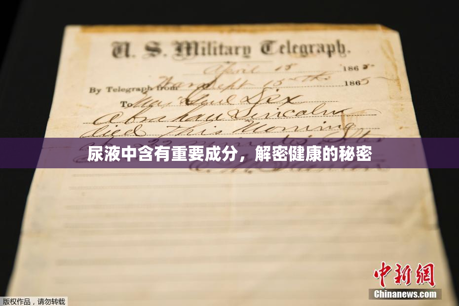 尿液中含有重要成分，解密健康的秘密