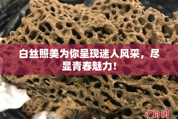 白丝照美为你呈现迷人风采，尽显青春魅力！