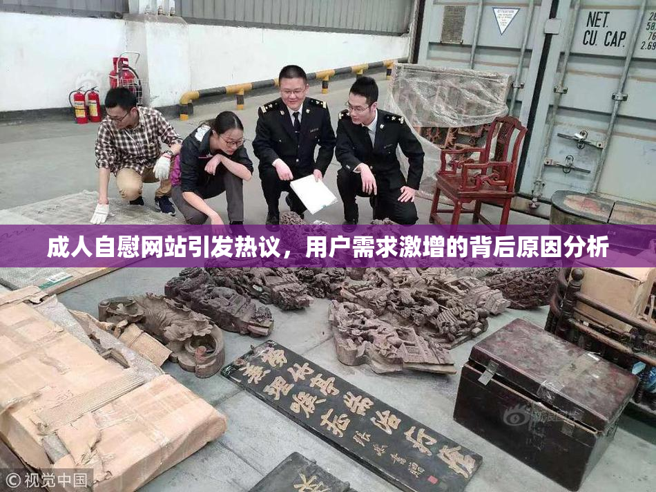 成人自慰网站引发热议，用户需求激增的背后原因分析