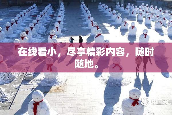 在线看小，尽享精彩内容，随时随地。