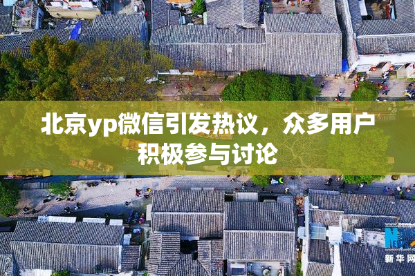 北京yp微信引发热议，众多用户积极参与讨论