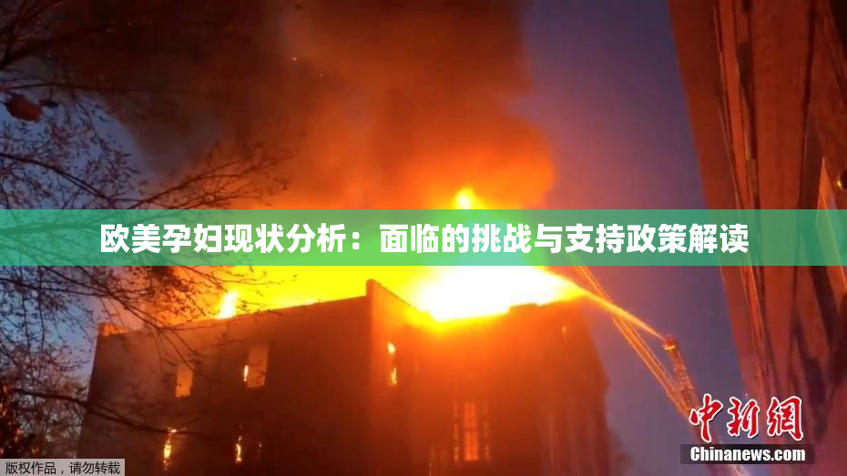 欧美孕妇现状分析：面临的挑战与支持政策解读