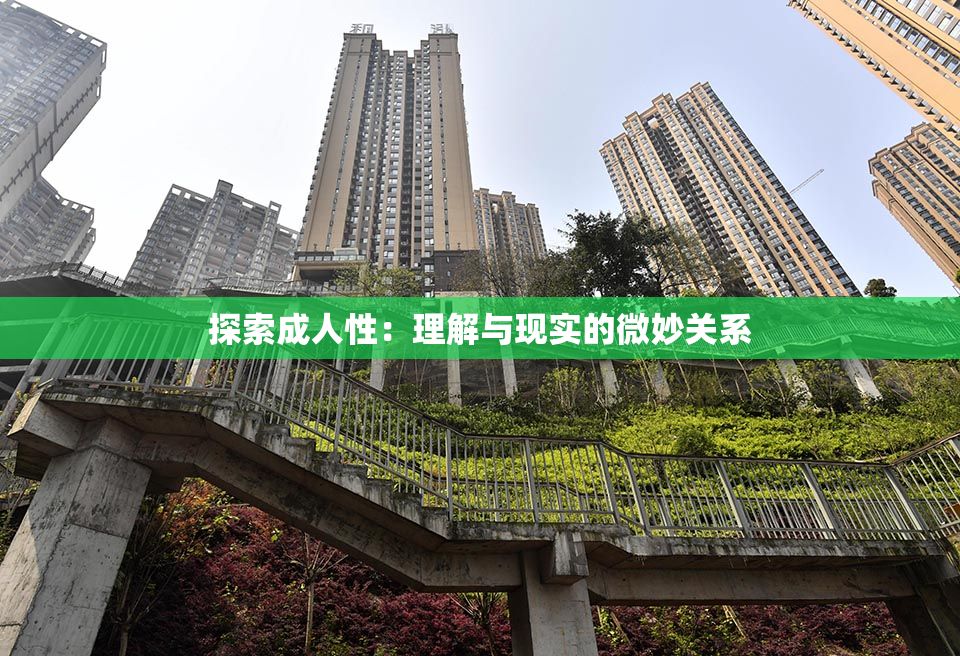 探索成人性：理解与现实的微妙关系