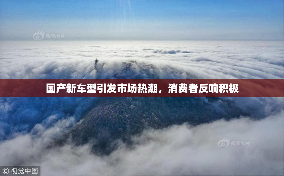 国产新车型引发市场热潮，消费者反响积极