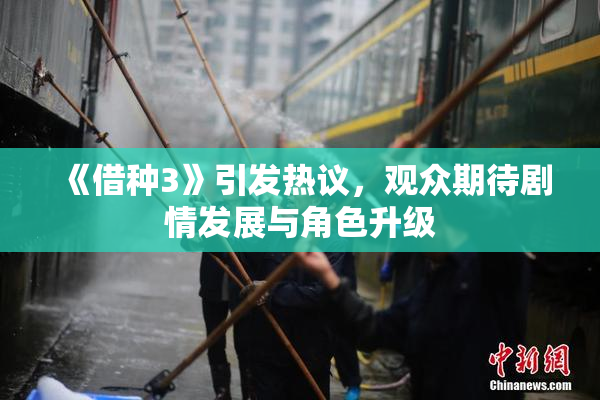 《借种3》引发热议，观众期待剧情发展与角色升级