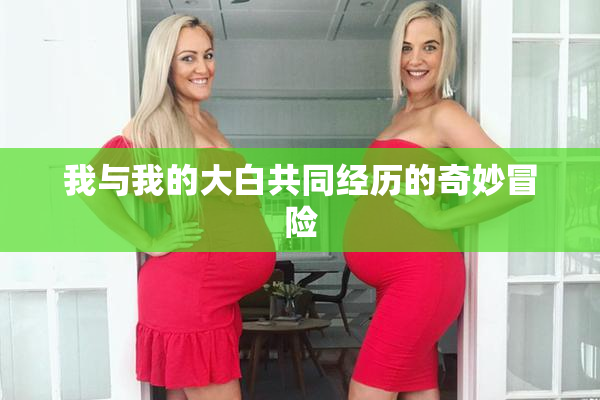 我与我的大白共同经历的奇妙冒险