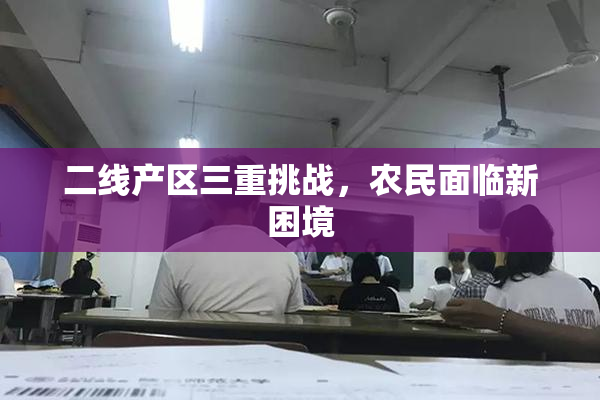 二线产区三重挑战，农民面临新困境
