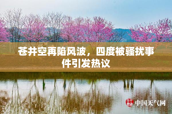 苍井空再陷风波，四度被骚扰事件引发热议