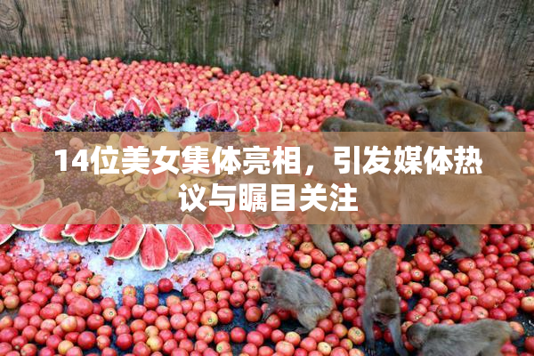 14位美女集体亮相，引发媒体热议与瞩目关注