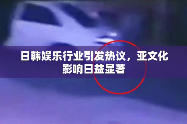 日韩娱乐行业引发热议，亚文化影响日益显著