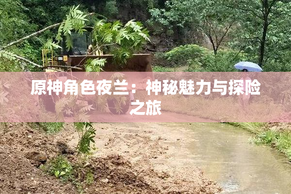 原神角色夜兰：神秘魅力与探险之旅