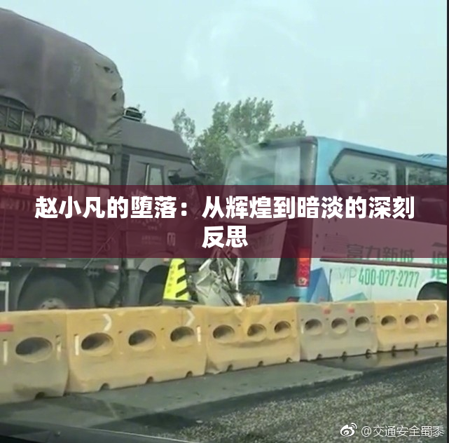 赵小凡的堕落：从辉煌到暗淡的深刻反思