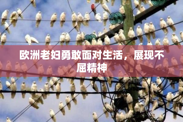 欧洲老妇勇敢面对生活，展现不屈精神