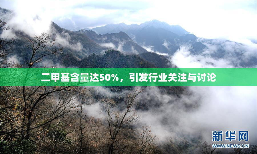 二甲基含量达50%，引发行业关注与讨论